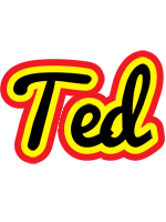 Ted flaming logo