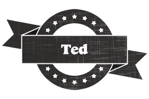 Ted grunge logo