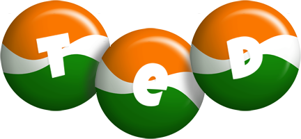 Ted india logo