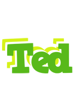 Ted picnic logo