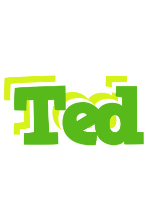 Ted picnic logo
