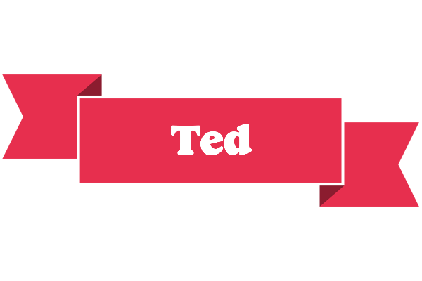 Ted sale logo
