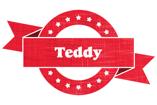 Teddy passion logo
