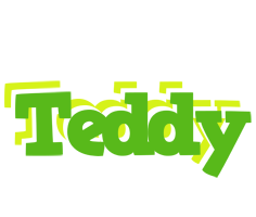 Teddy picnic logo