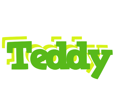 Teddy picnic logo