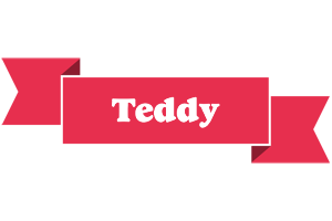Teddy sale logo