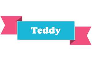 Teddy today logo