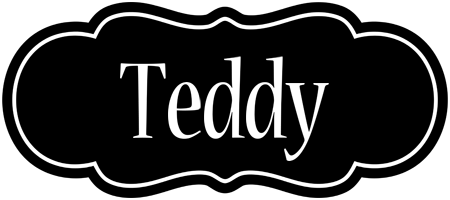 Teddy welcome logo