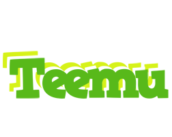 Teemu picnic logo