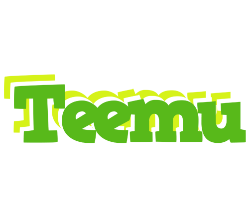 Teemu picnic logo