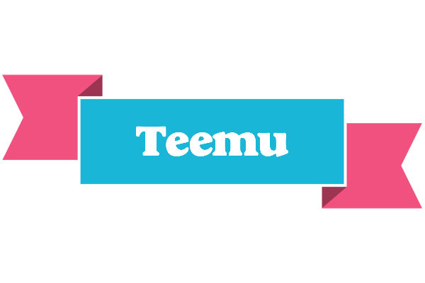Teemu today logo