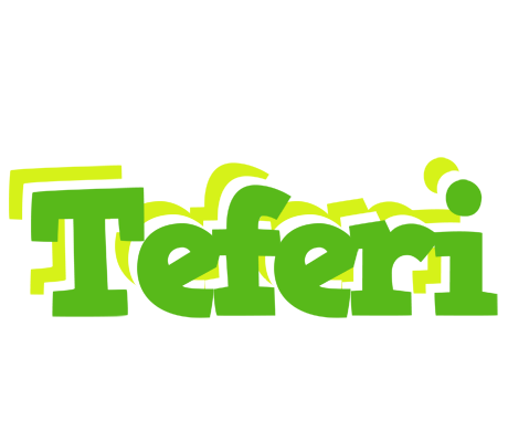 Teferi picnic logo