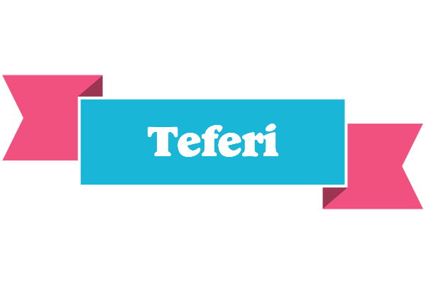 Teferi today logo