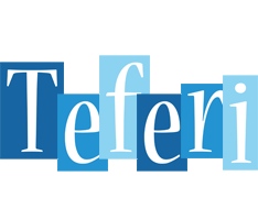 Teferi winter logo