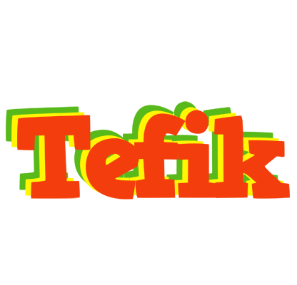 Tefik bbq logo