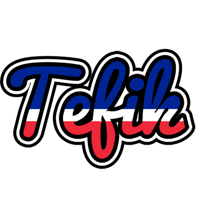Tefik france logo