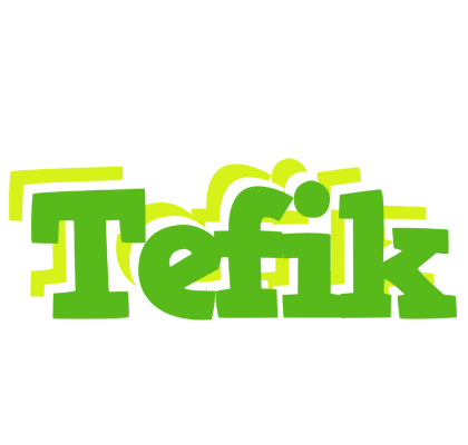Tefik picnic logo