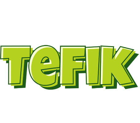 Tefik summer logo