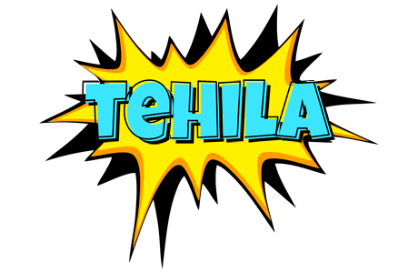 Tehila indycar logo