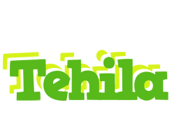 Tehila picnic logo