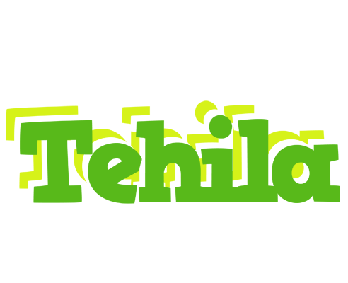 Tehila picnic logo