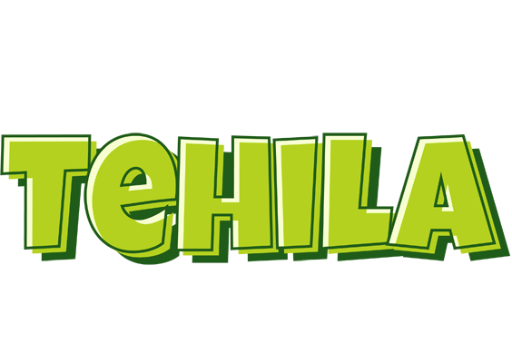 Tehila summer logo
