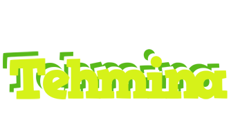 Tehmina citrus logo