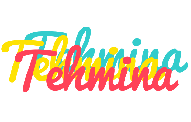 Tehmina disco logo