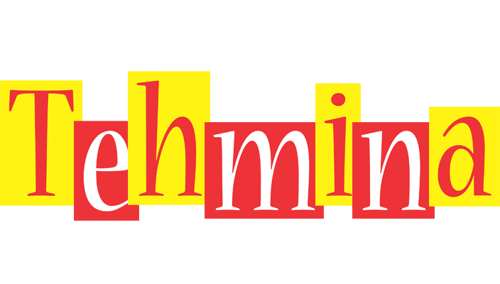 Tehmina errors logo