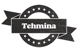 Tehmina grunge logo