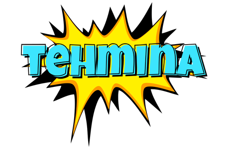 Tehmina indycar logo