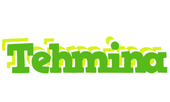 Tehmina picnic logo