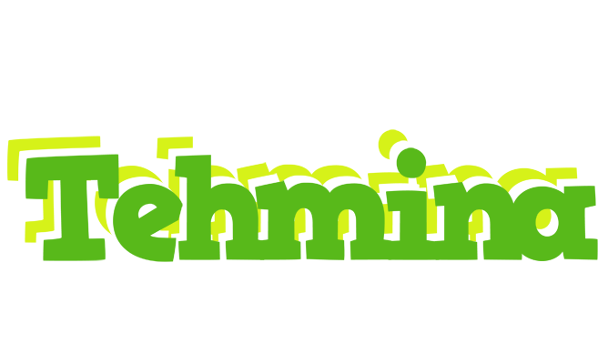 Tehmina picnic logo