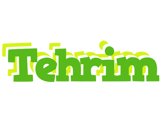 Tehrim picnic logo