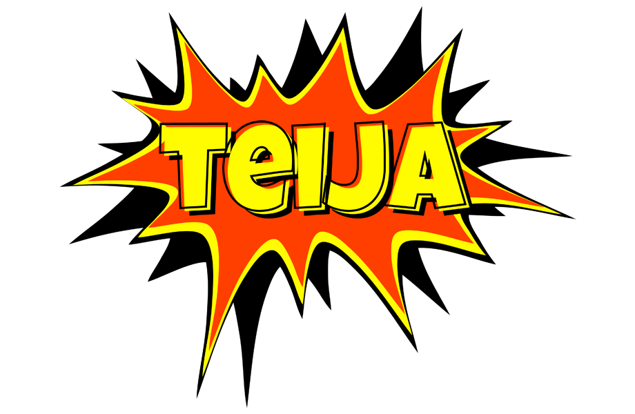 Teija bazinga logo