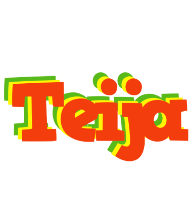 Teija bbq logo