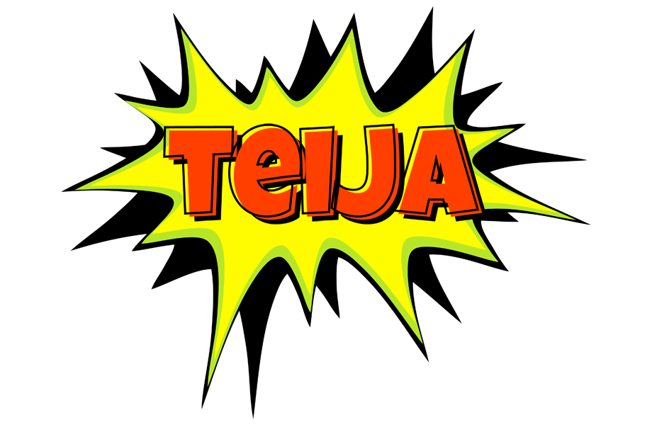 Teija bigfoot logo