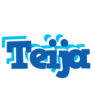 Teija business logo