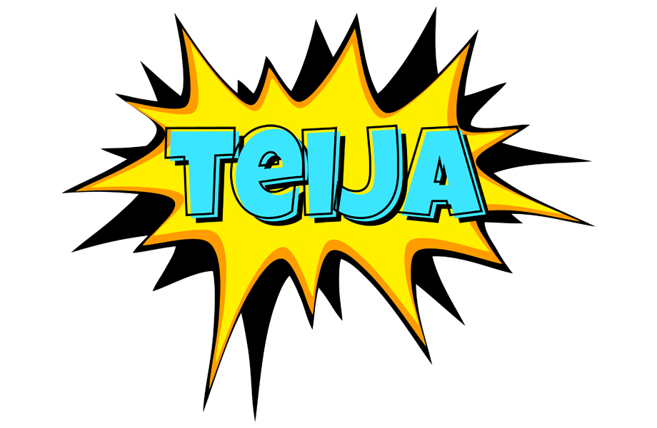 Teija indycar logo