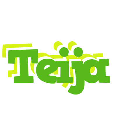 Teija picnic logo