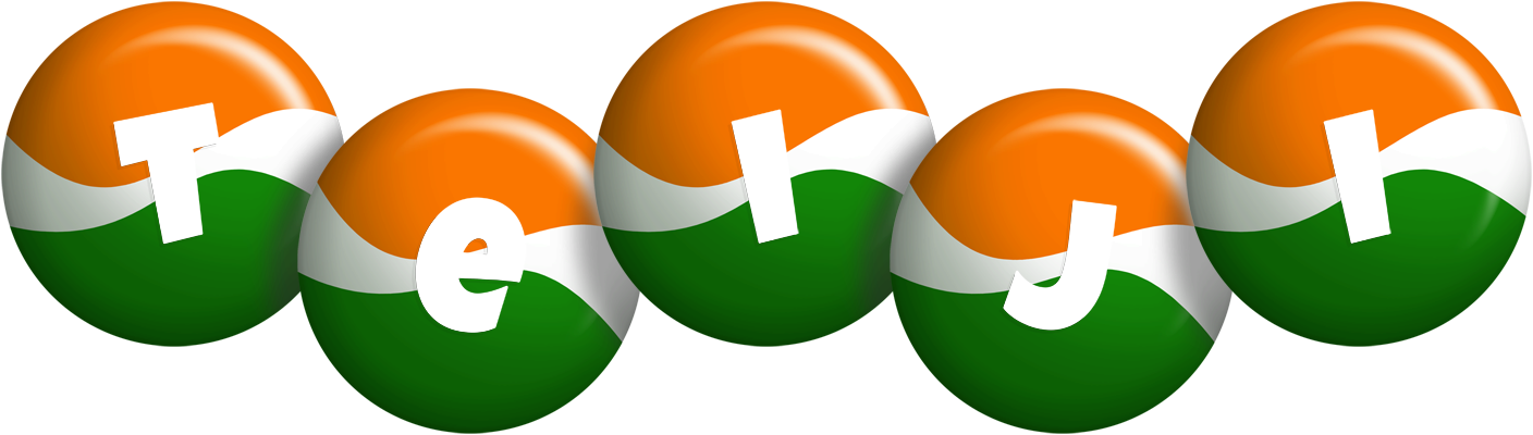 Teiji india logo