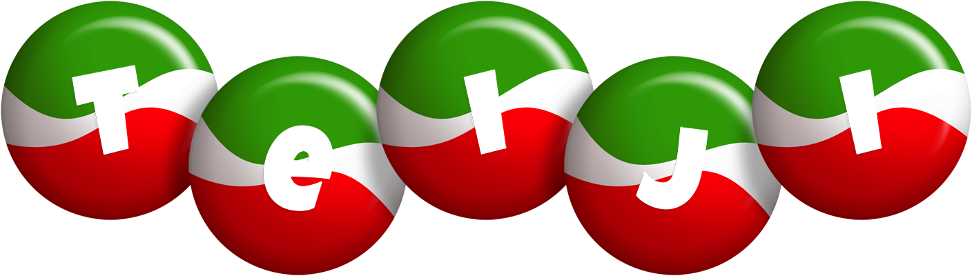 Teiji italy logo