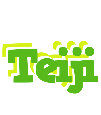 Teiji picnic logo