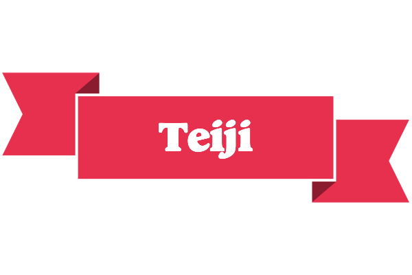 Teiji sale logo