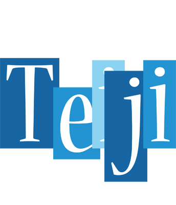 Teiji winter logo