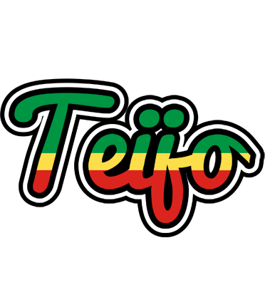 Teijo african logo