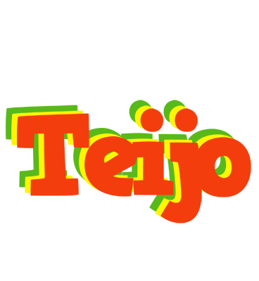 Teijo bbq logo