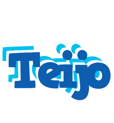 Teijo business logo