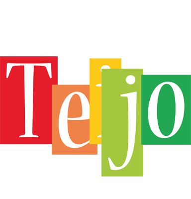 Teijo colors logo