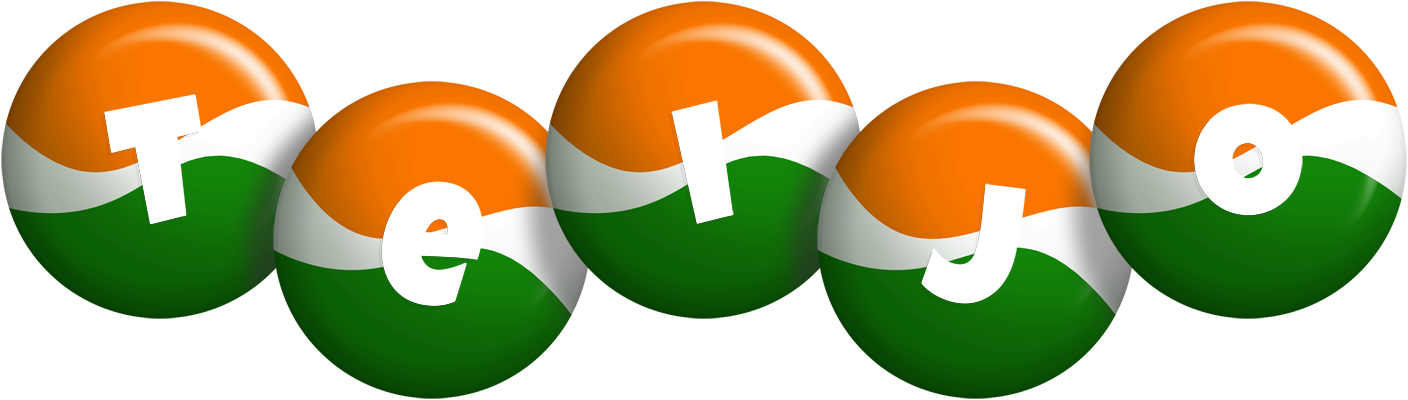 Teijo india logo